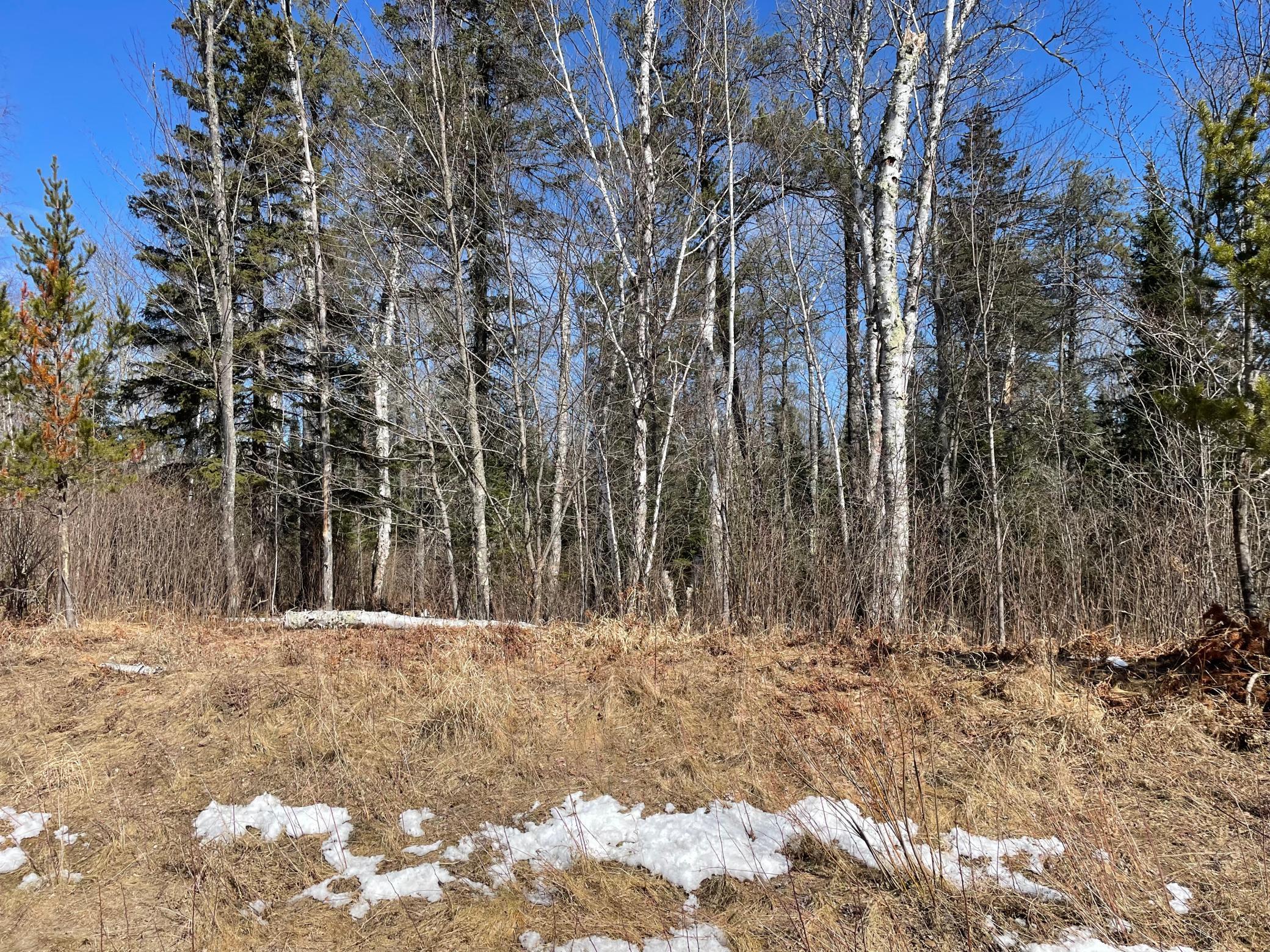 6206 Needleleaf Road, Biwabik, Minnesota image 2