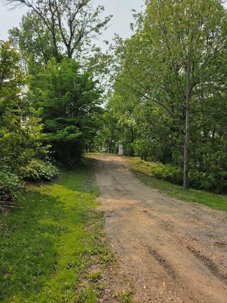 4701 Briarwood Avenue, Buffalo, Minnesota image 3