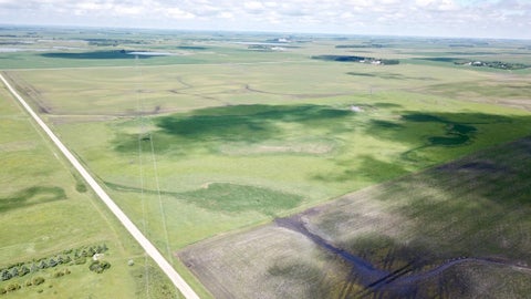 Vacant Land For Sale - XXXX 200th Street<br/> Grant County, Elbow Lake, MN 56531