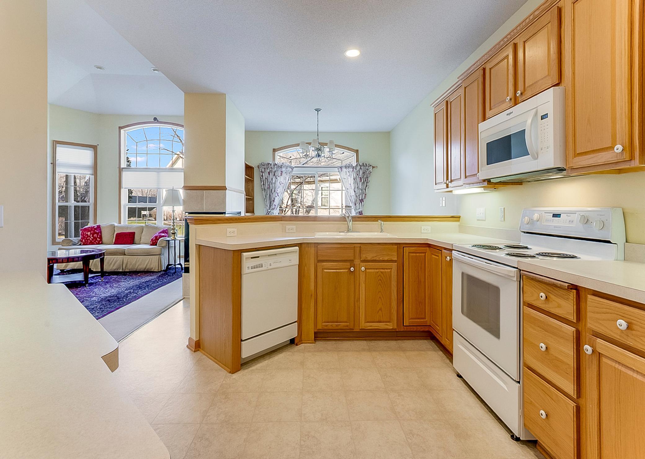 14445 Freesia Way, Saint Paul, Minnesota image 8