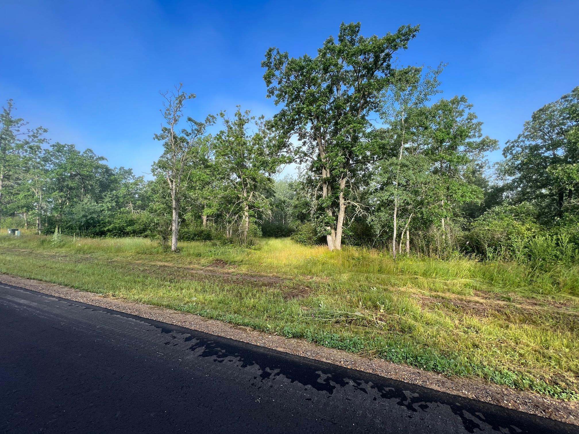 L29B1 Acorn Ridge Road, Bemidji, Minnesota image 4