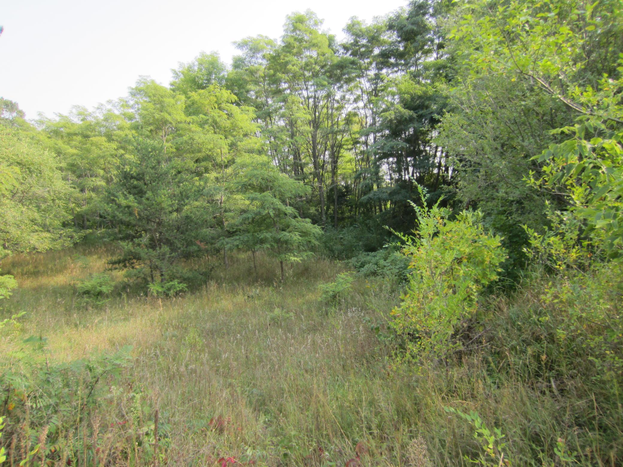 Lot 6 Block 1 Kettle River Boulevard, Columbus, Minnesota image 12