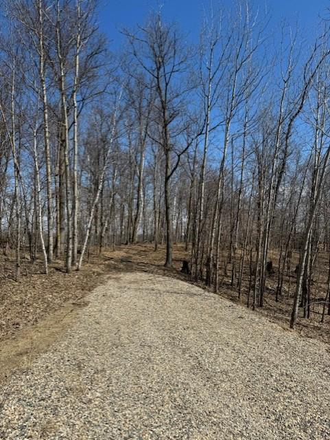 Lot 7 Sw Pickerel Lake Rd, Detroit Lakes, Minnesota image 1