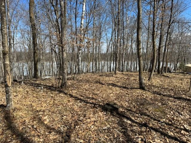 Lot 7 Sw Pickerel Lake Rd, Detroit Lakes, Minnesota image 2