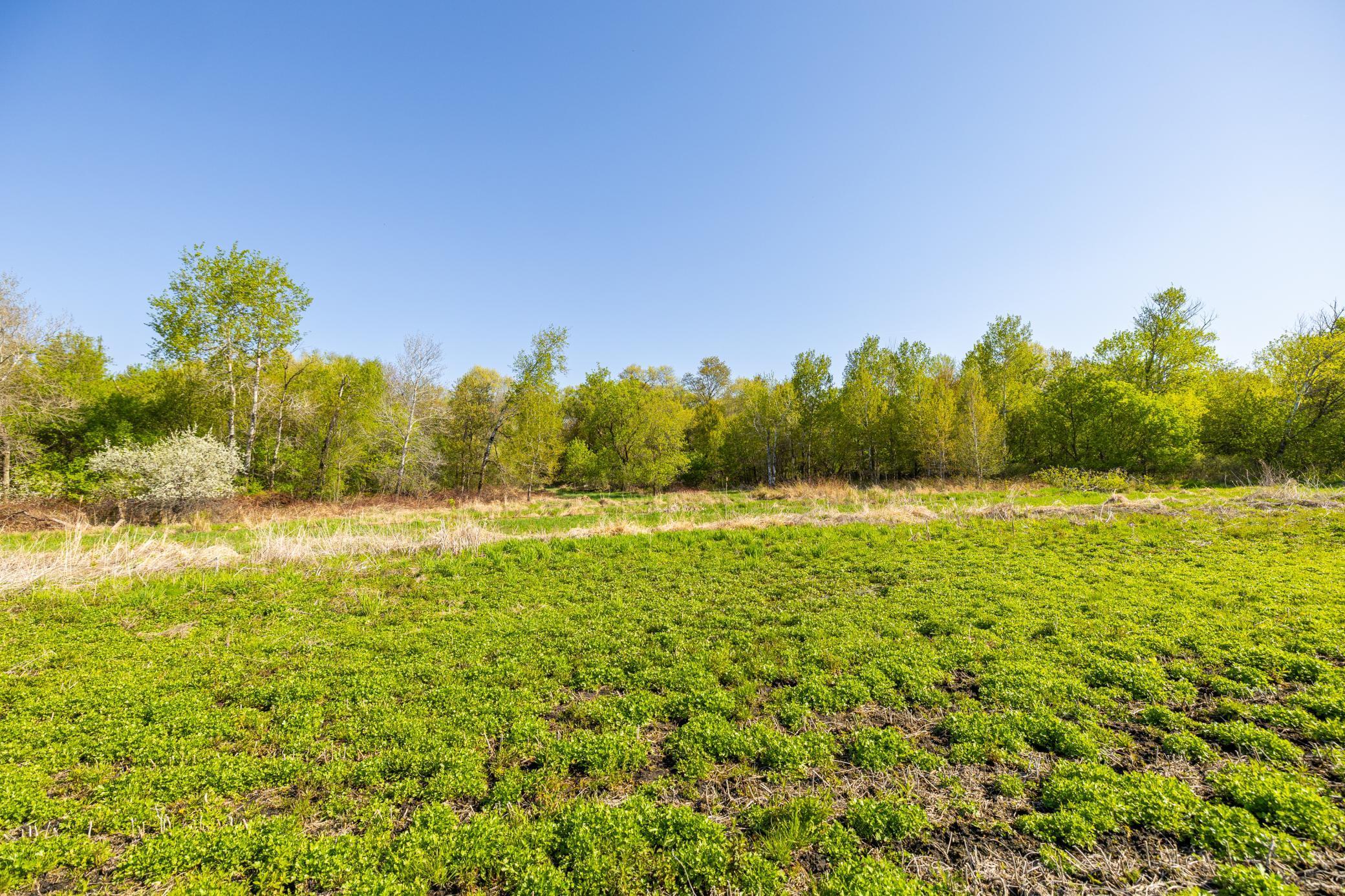 Parcel C 27+/-AC 465th Street, Harris, Minnesota image 31