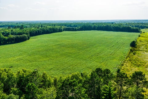 Vacant Land For Sale - TBD Buzzle Road<br/> Beltrami County, Shevlin, MN 56676
