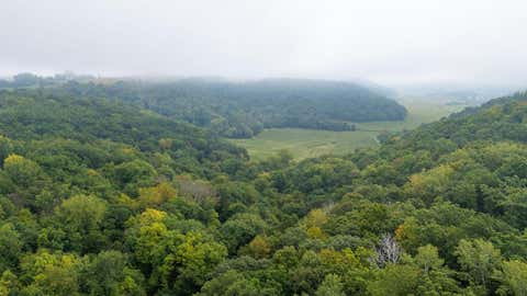 Vacant Land For Sale - TBD (LOT 4) Goat Back Road<br/> Pepin, WI 54759