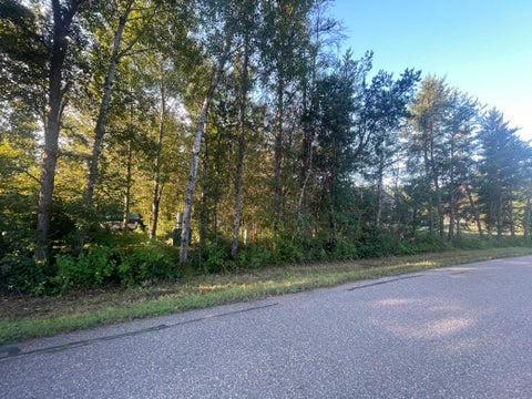 Vacant Land For Sale - TBD Crow Wing Circle<br/> Pillager, MN 56473