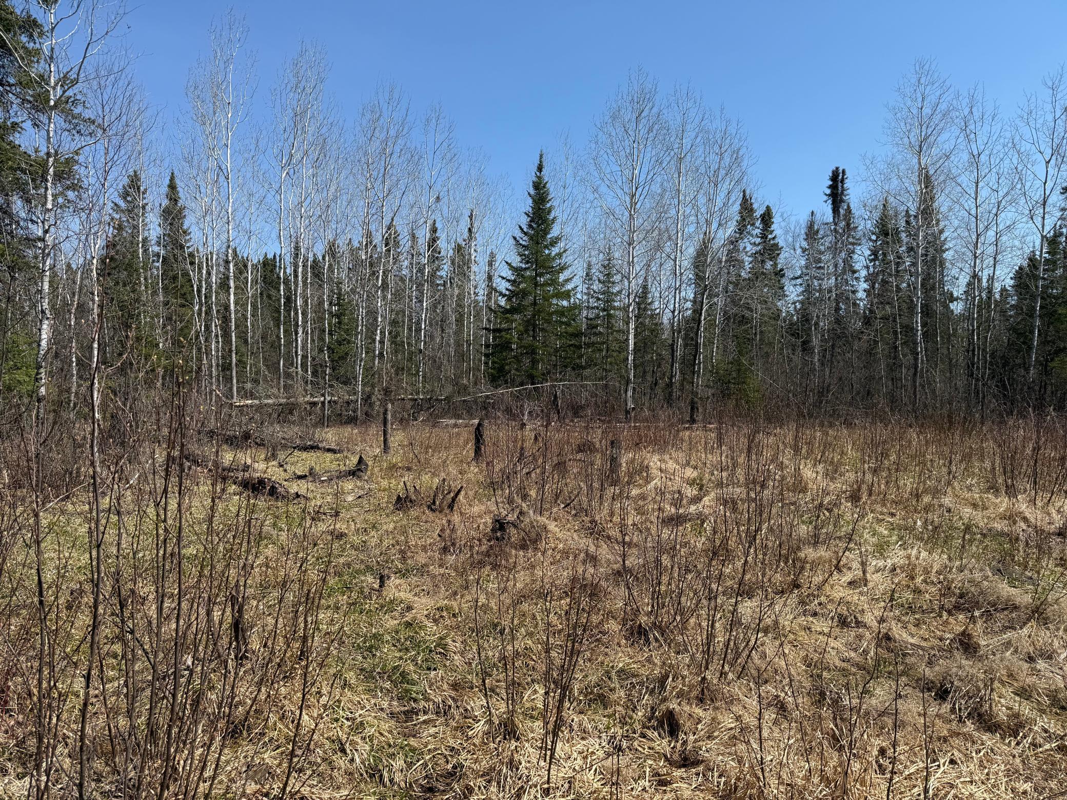 TBD Sethers Rd. Sethers Rd., Orr, Minnesota image 37