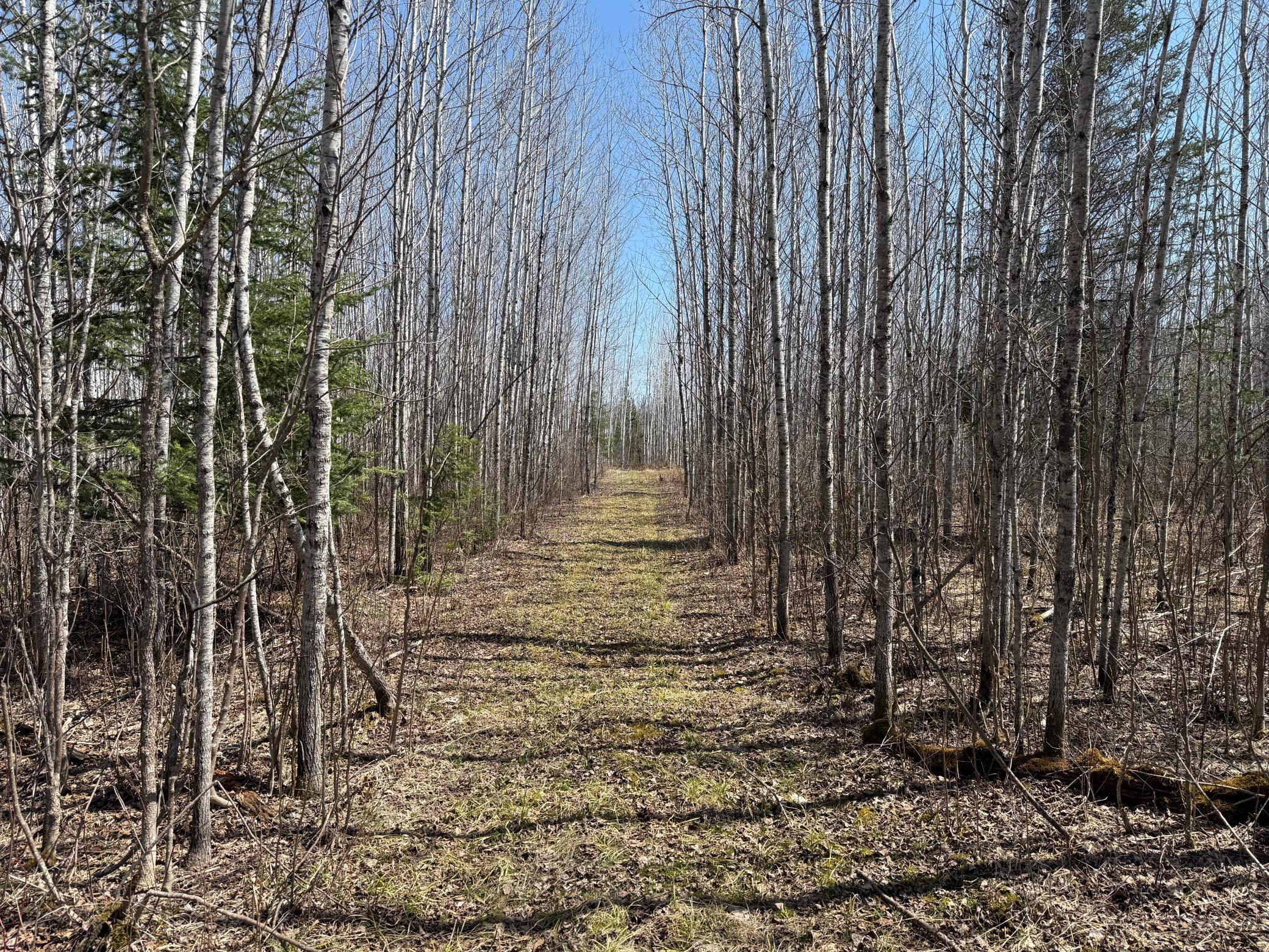 TBD Sethers Rd. Sethers Rd., Orr, Minnesota image 40