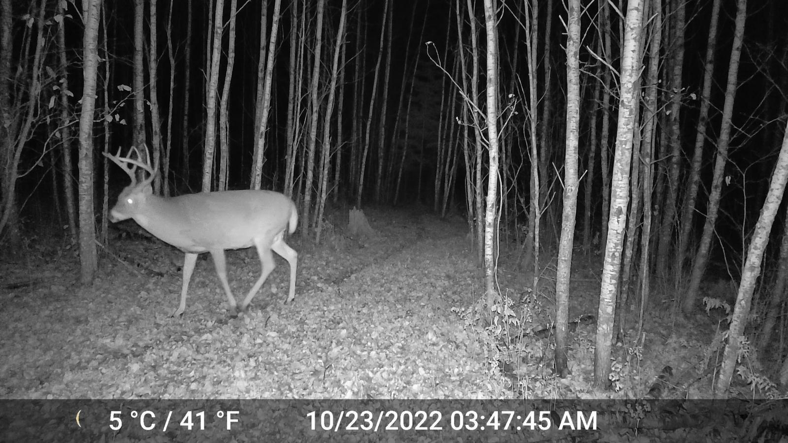 TBD Sethers Rd. Sethers Rd., Orr, Minnesota image 25