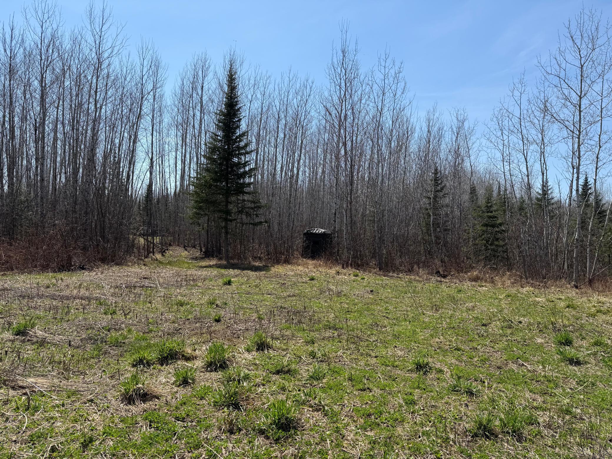 TBD Sethers Rd. Sethers Rd., Orr, Minnesota image 33