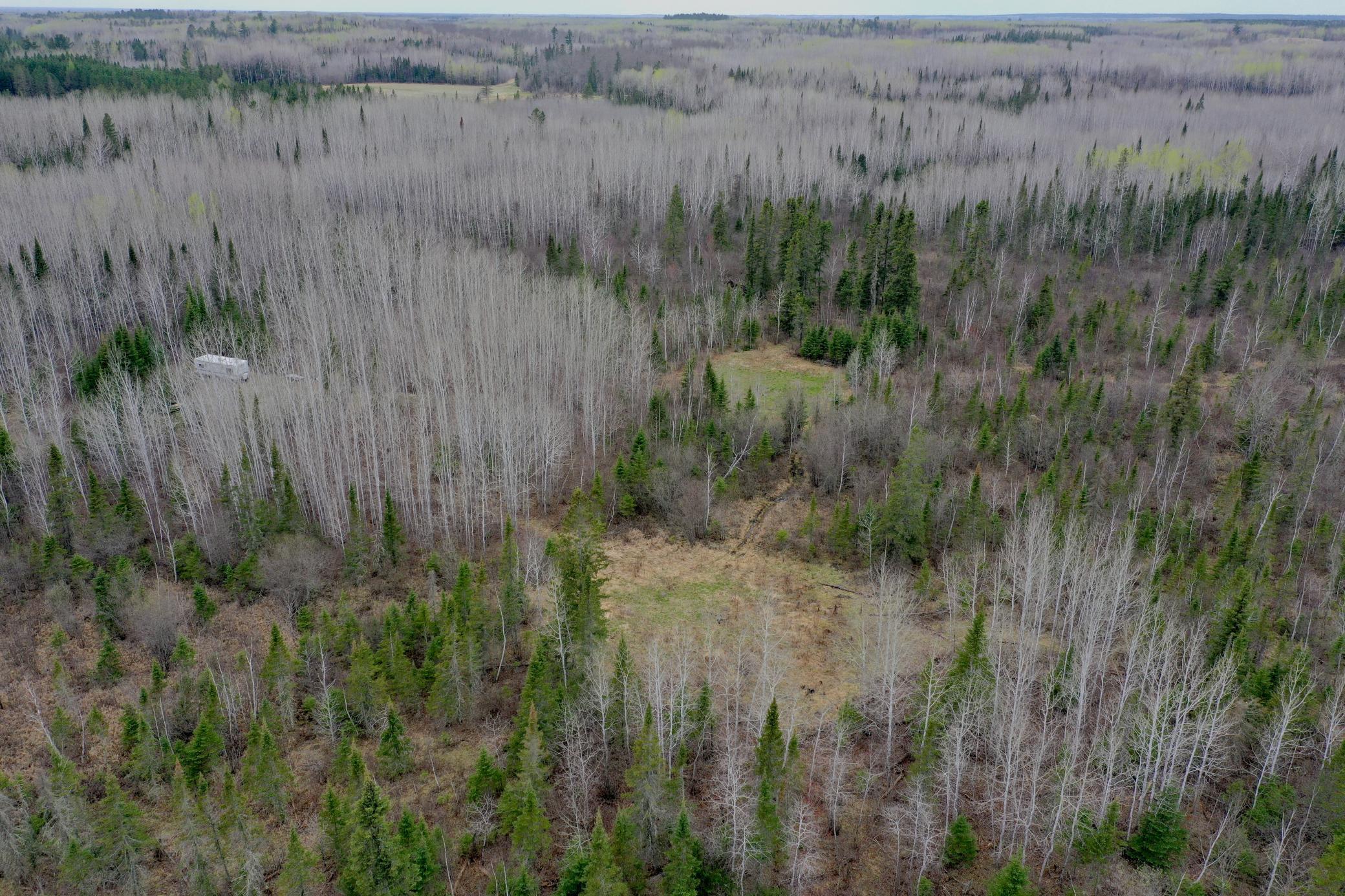 TBD Sethers Rd. Sethers Rd., Orr, Minnesota image 3