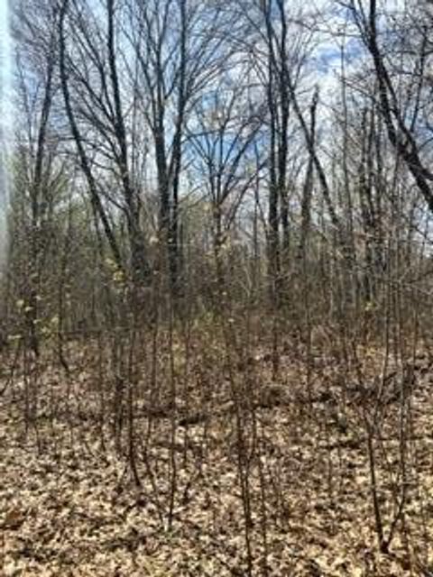 Vacant Land For Sale - XXX Opal Ln<br/> Cushing, MN 56443