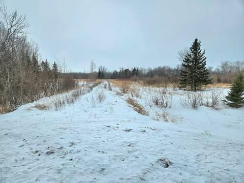 Vacant Land For Sale - 10389 150th Street<br/> Thief River Falls, MN 56701