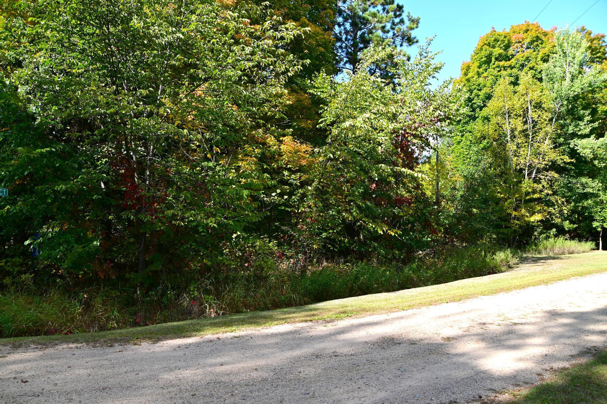 Xxx Plum Drive, Browerville, Minnesota image 1
