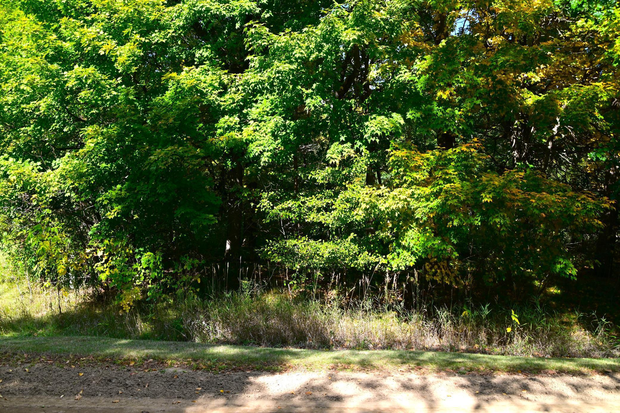 Xxx Plum Drive, Browerville, Minnesota image 3