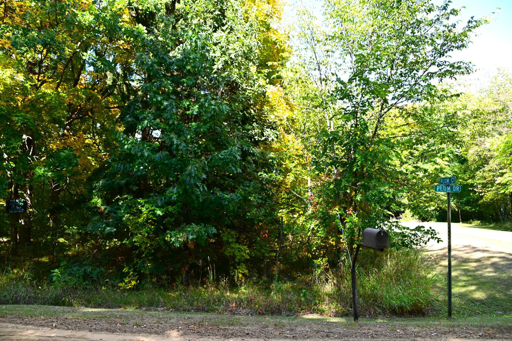 Xxx Plum Drive, Browerville, Minnesota image 2