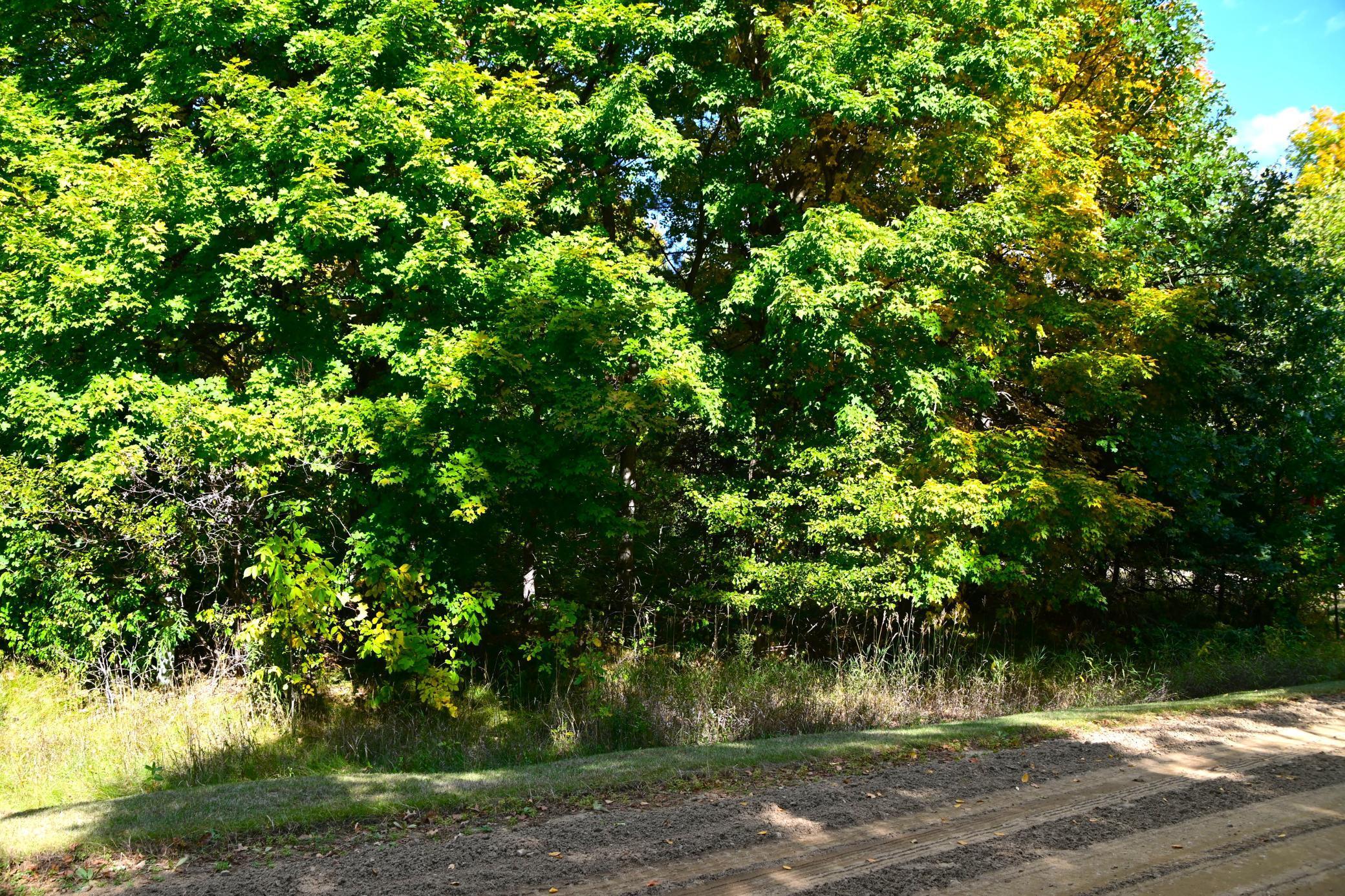 Xxx Plum Drive, Browerville, Minnesota image 4