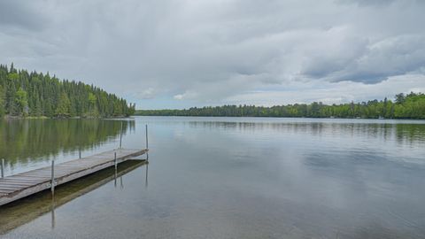 Vacant Land For Sale - 53549 Little Bear Trail Trl<br/> Bigfork, MN 56657