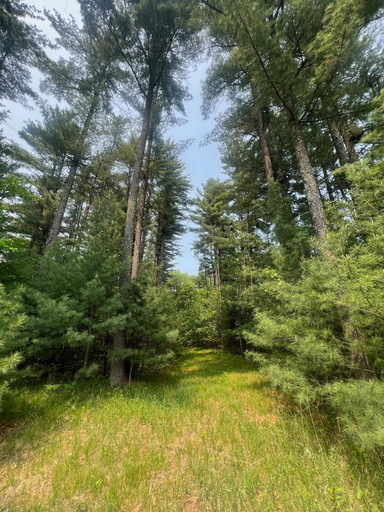 Xxx Benson Avenue, Grantsburg, Wisconsin image 1