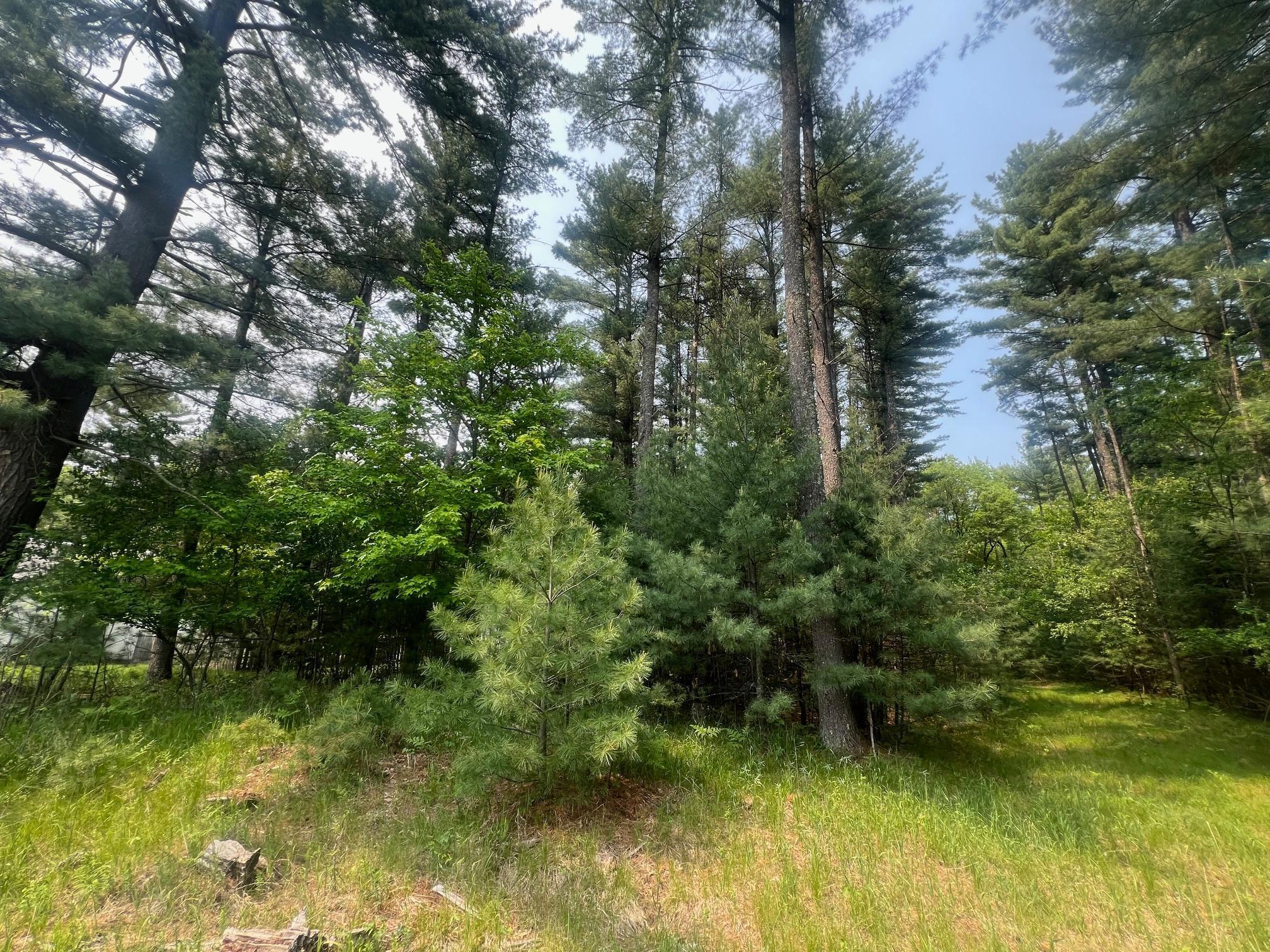 Xxx Benson Avenue, Grantsburg, Wisconsin image 3