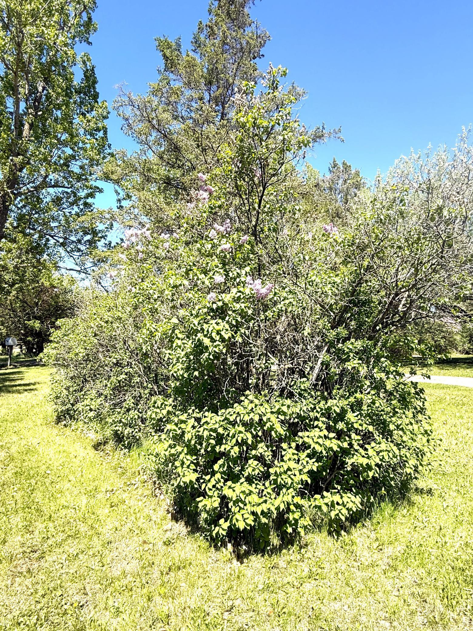 51352 113th Avenue, Gonvick, Minnesota image 37