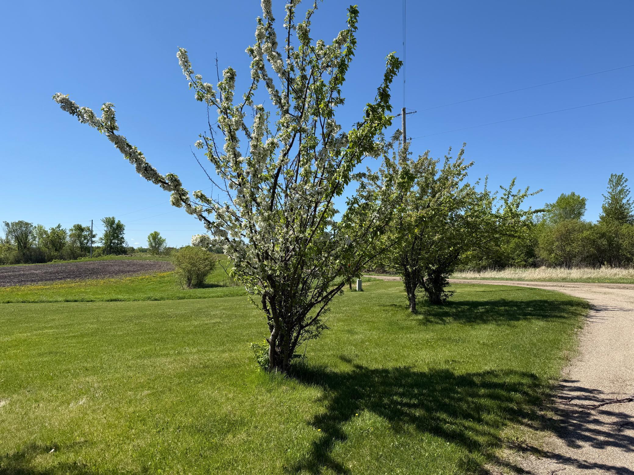 51352 113th Avenue, Gonvick, Minnesota image 34