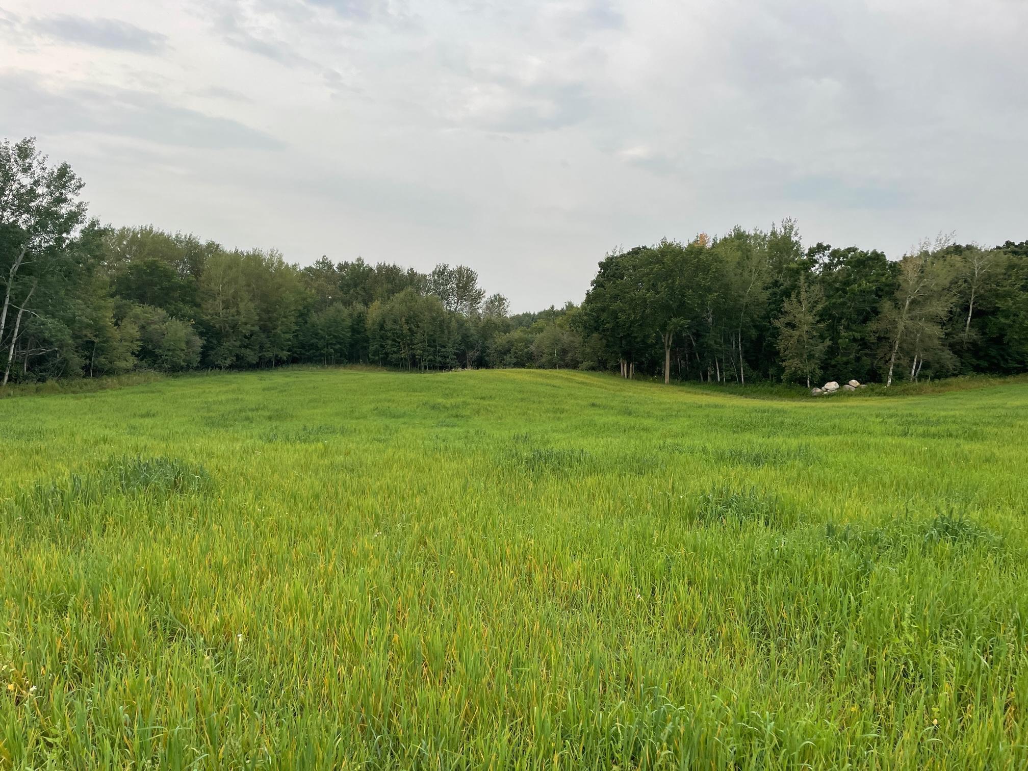 TBD 460th Street, Gonvick, Minnesota image 35