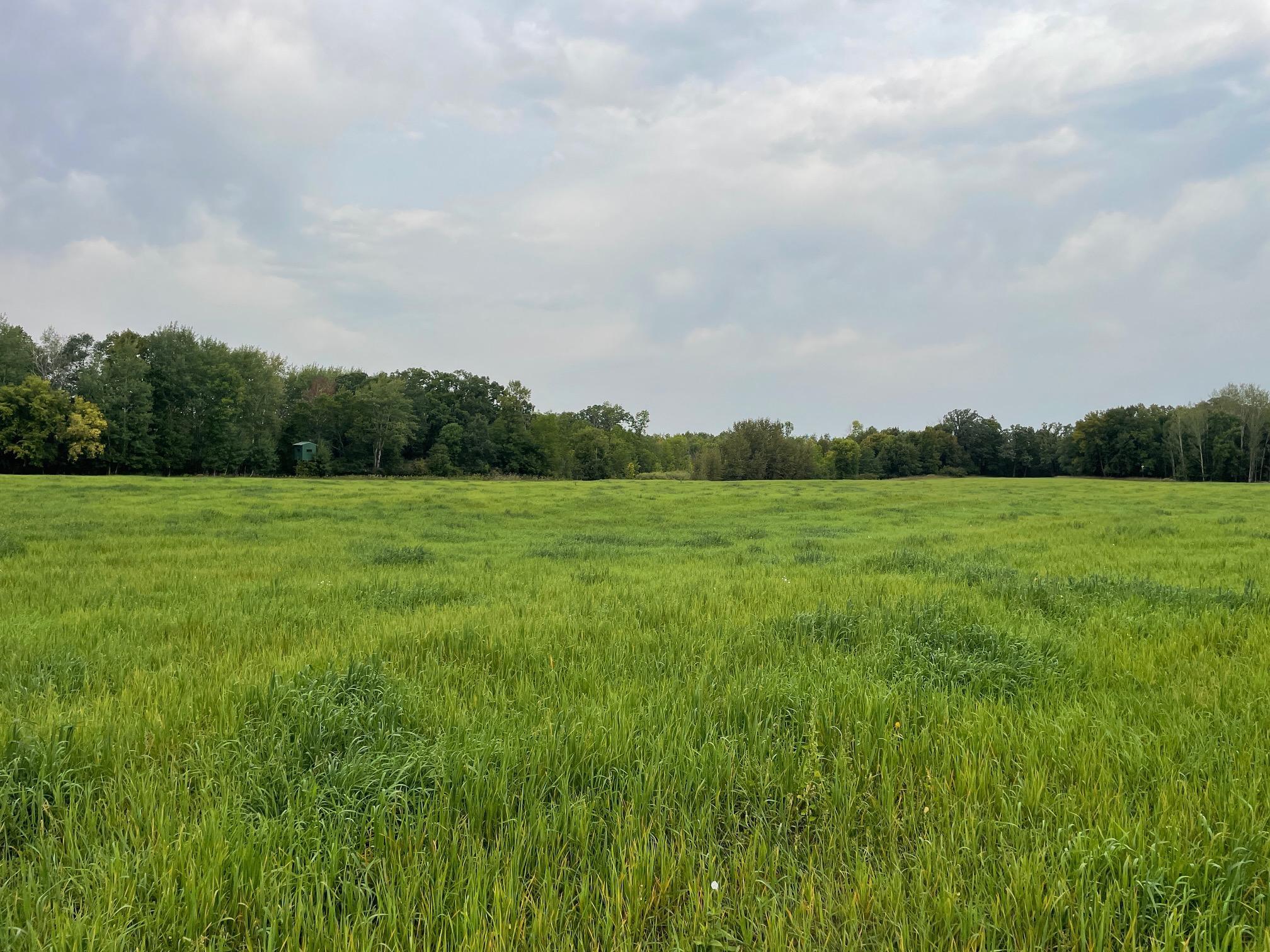 TBD 460th Street, Gonvick, Minnesota image 33