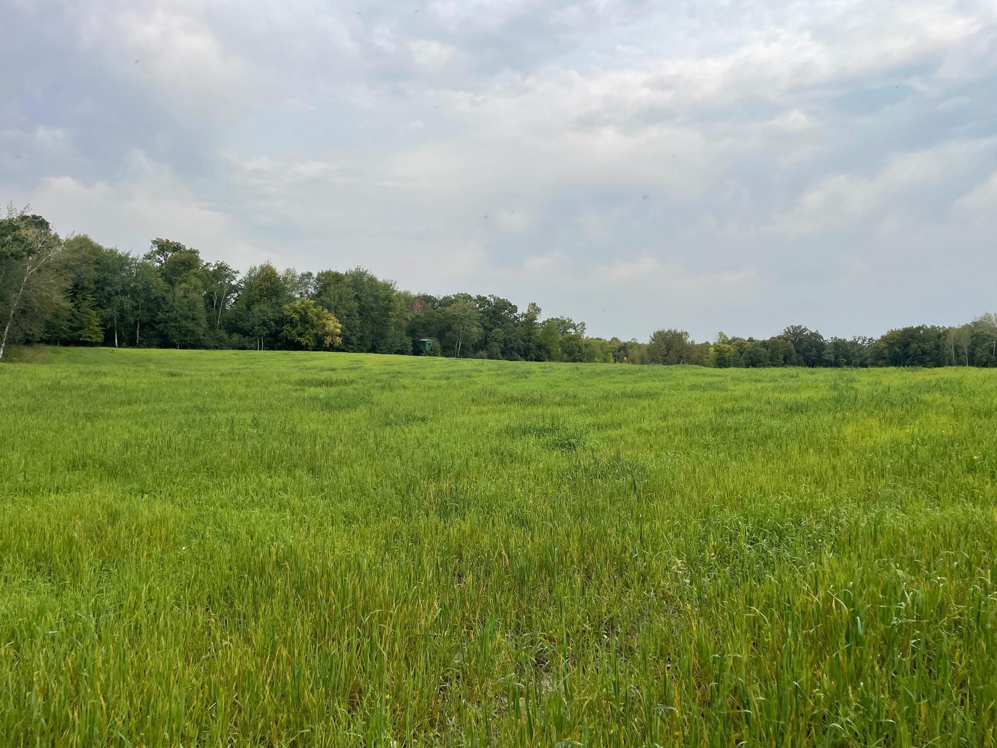 TBD 460th Street, Gonvick, Minnesota image 32