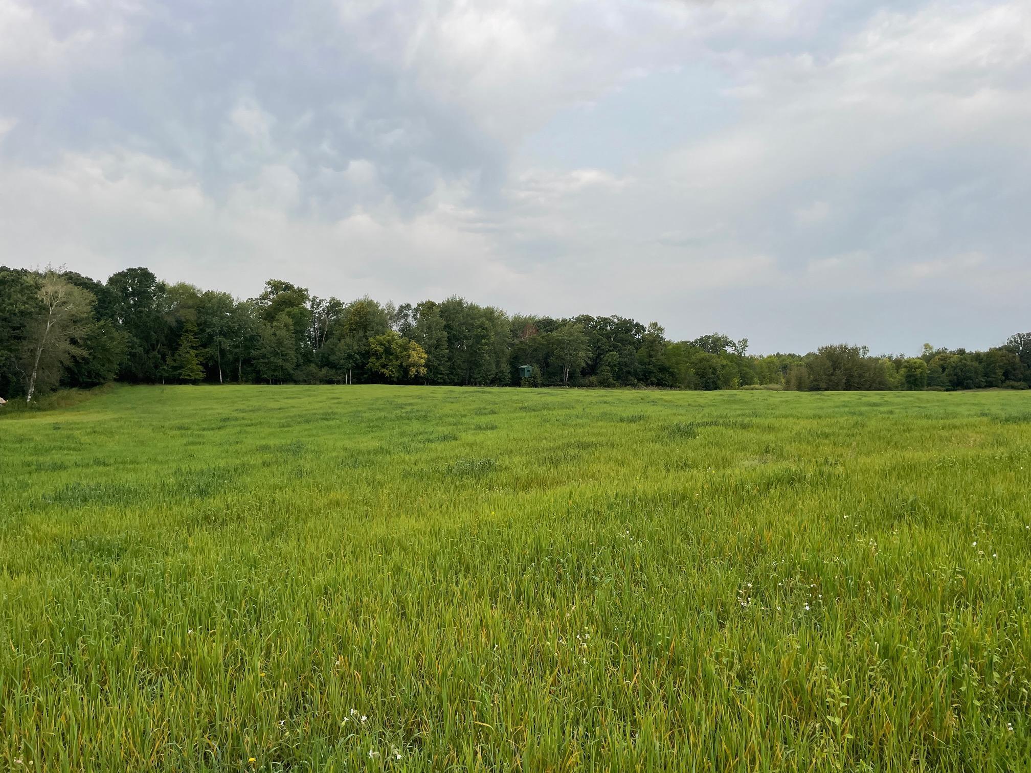 TBD 460th Street, Gonvick, Minnesota image 37