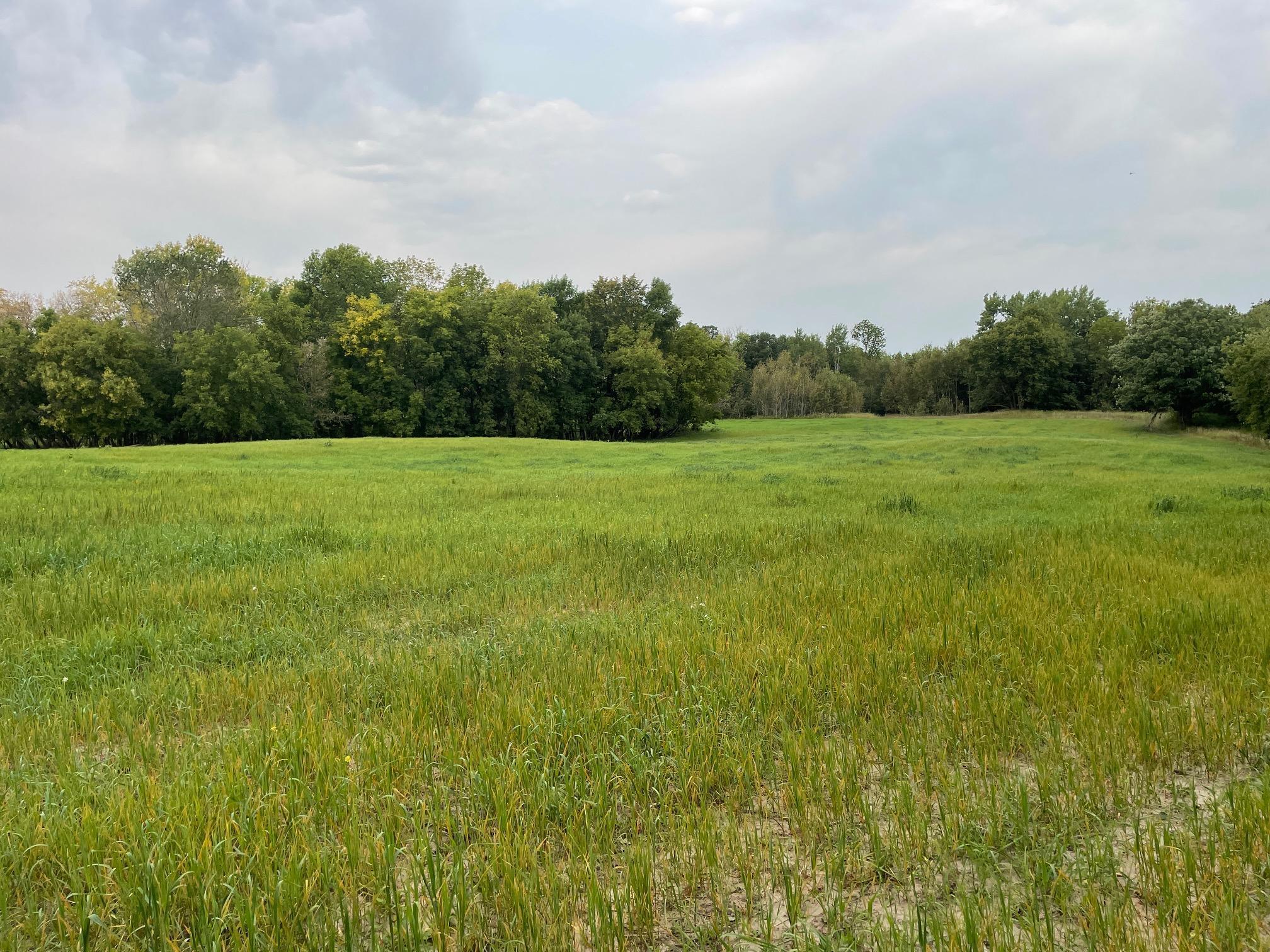 TBD 460th Street, Gonvick, Minnesota image 39