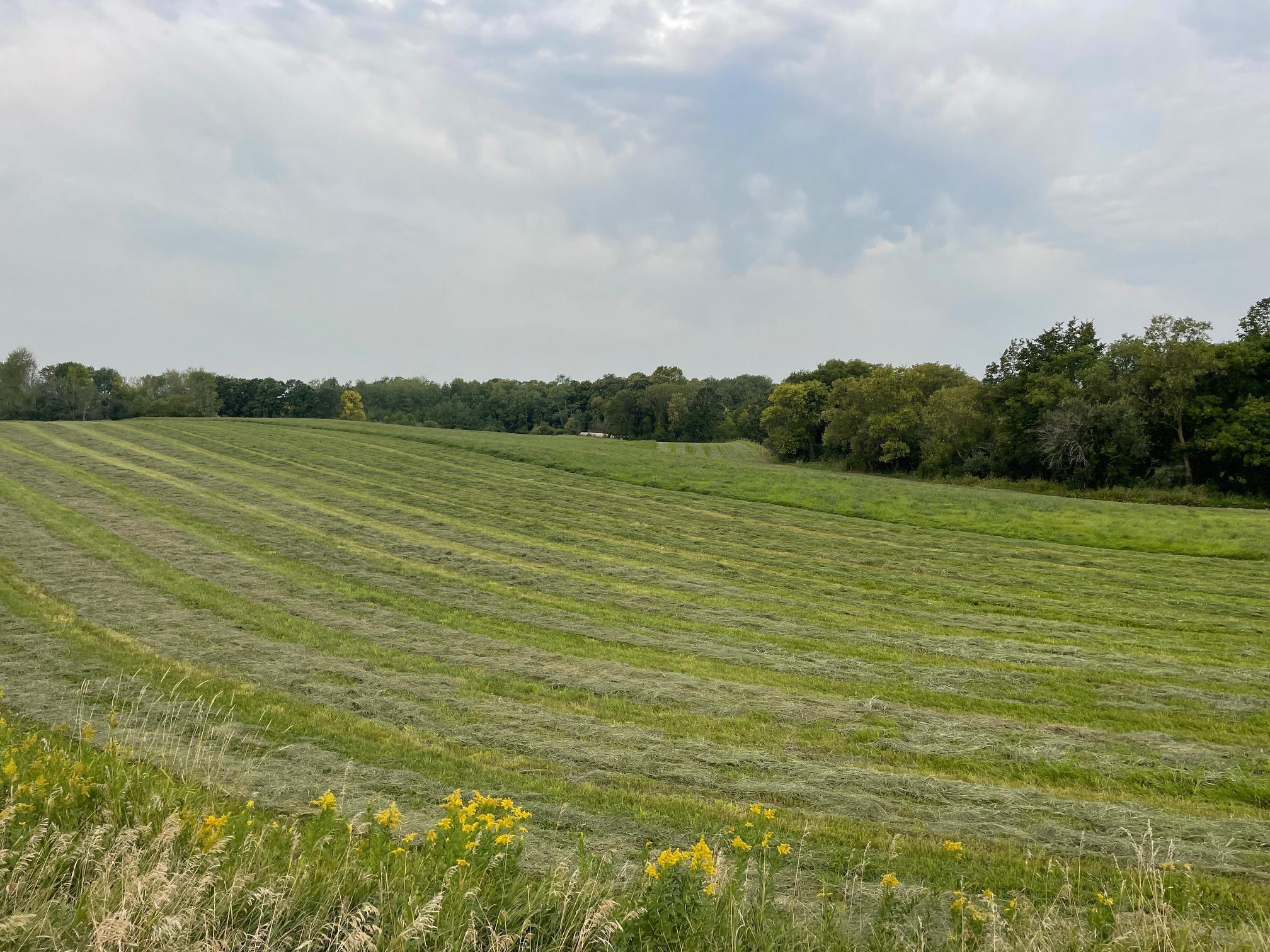 TBD 460th Street, Gonvick, Minnesota image 29