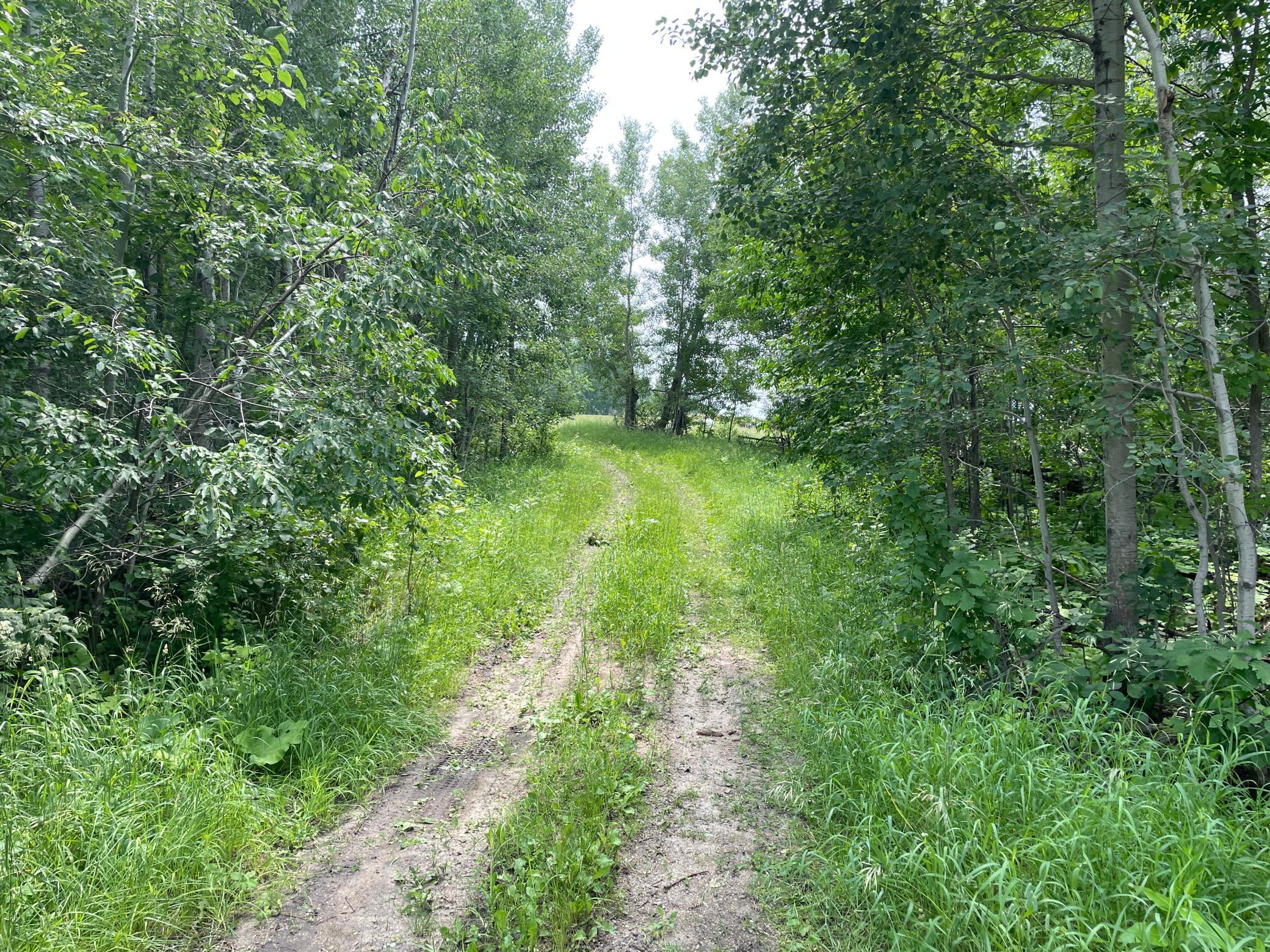 TBD 460th Street, Gonvick, Minnesota image 45