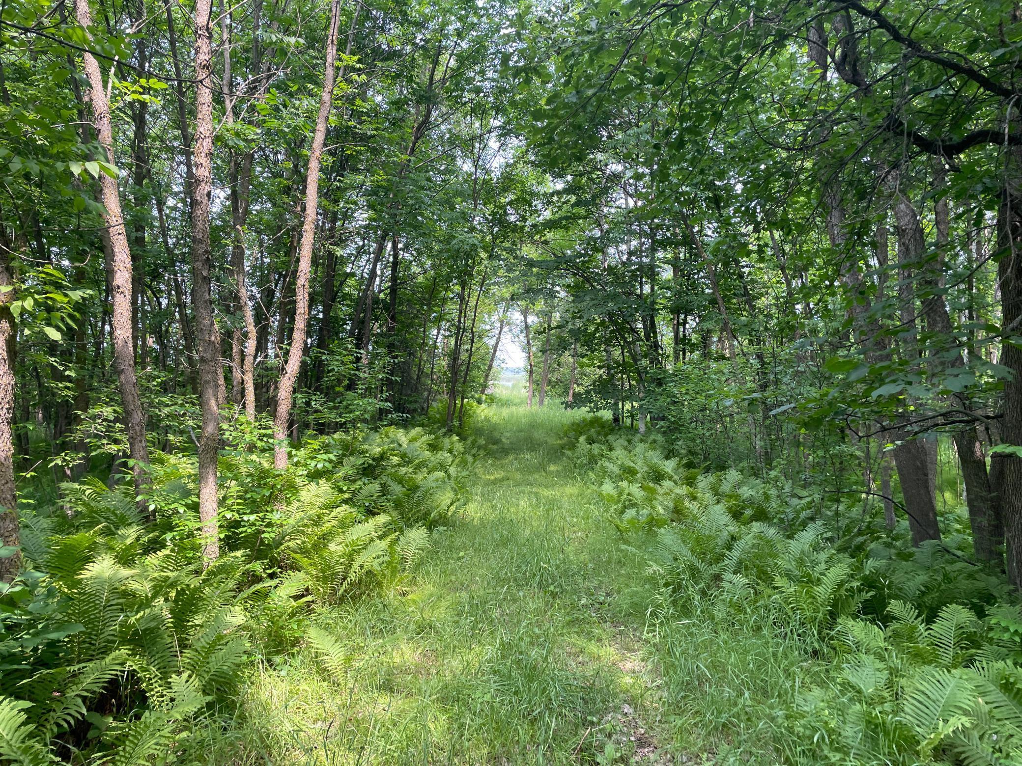 TBD 460th Street, Gonvick, Minnesota image 48