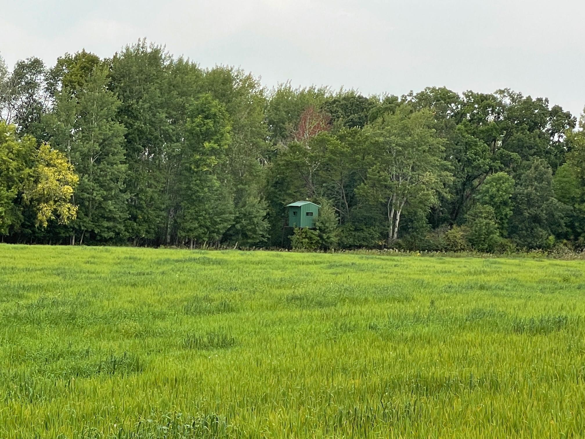 TBD 460th Street, Gonvick, Minnesota image 38