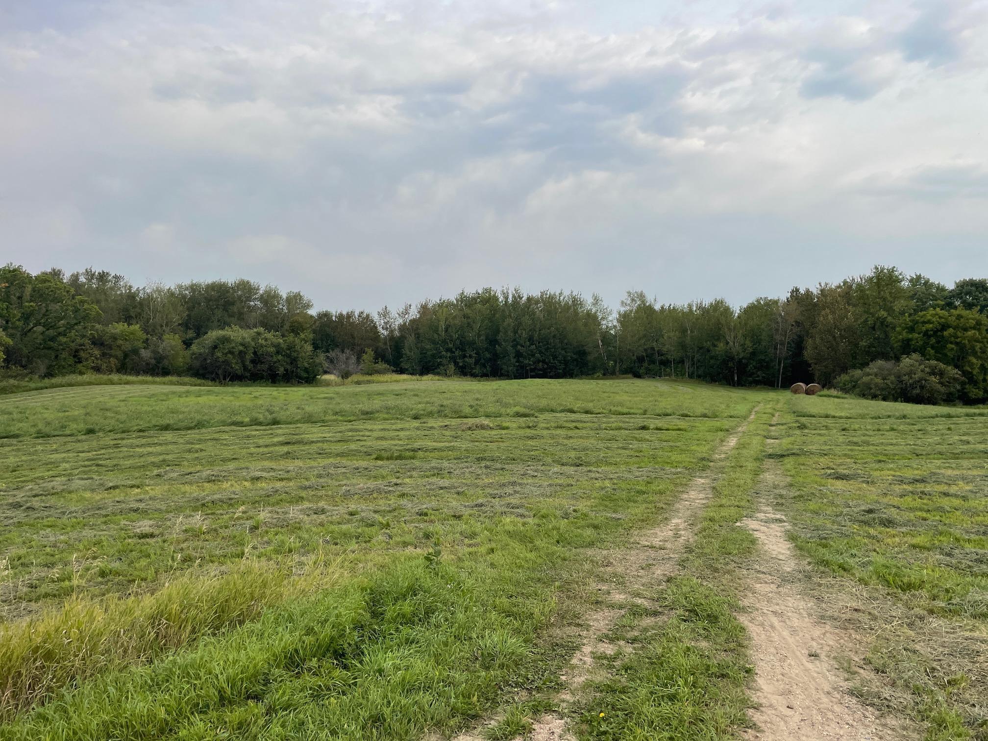 TBD 460th Street, Gonvick, Minnesota image 31