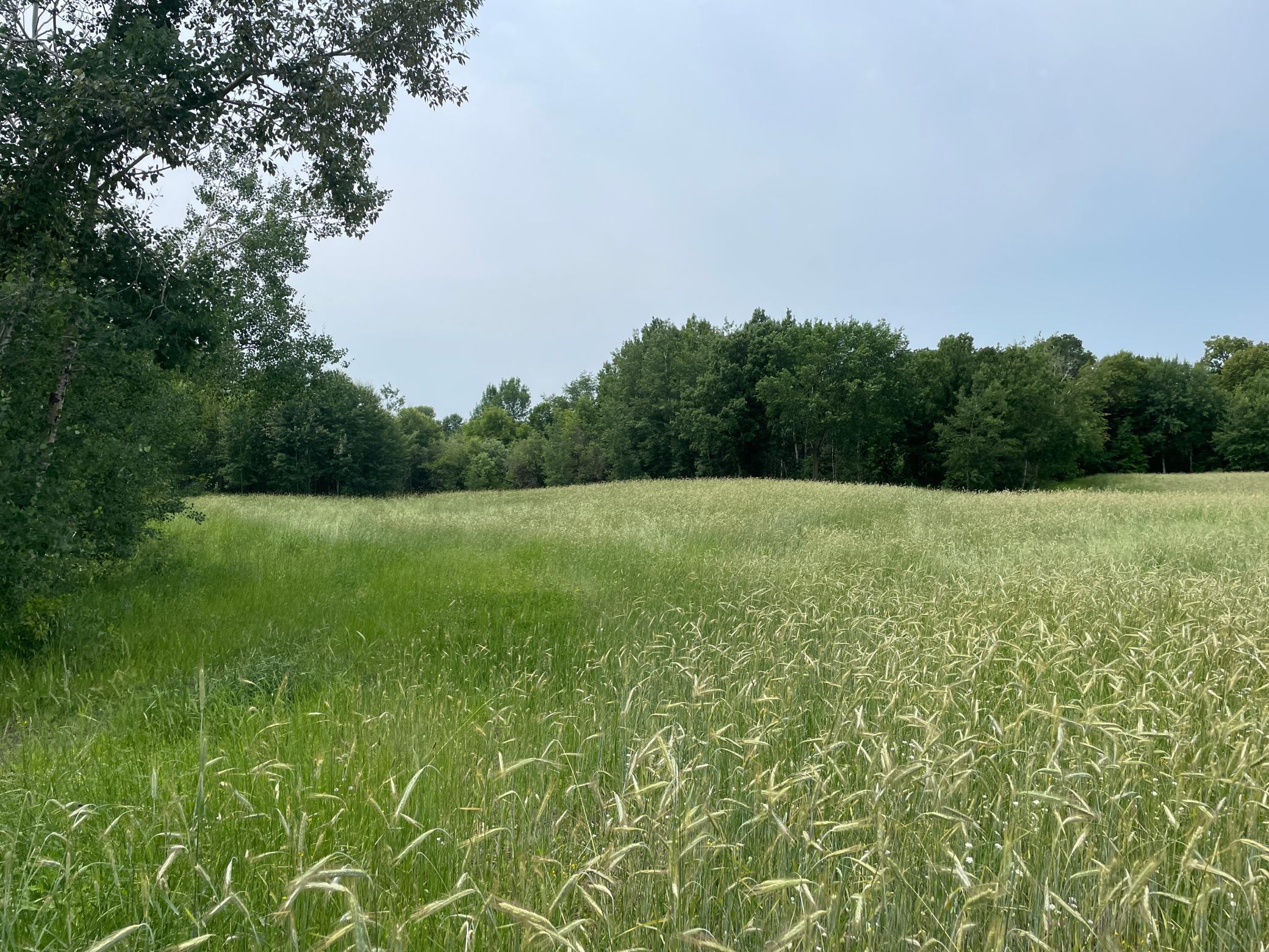 TBD 460th Street, Gonvick, Minnesota image 44