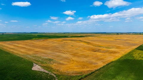 Vacant Land For Sale - TBD 15 Ave Ne Lot 4<br/> Berwick, ND 58788