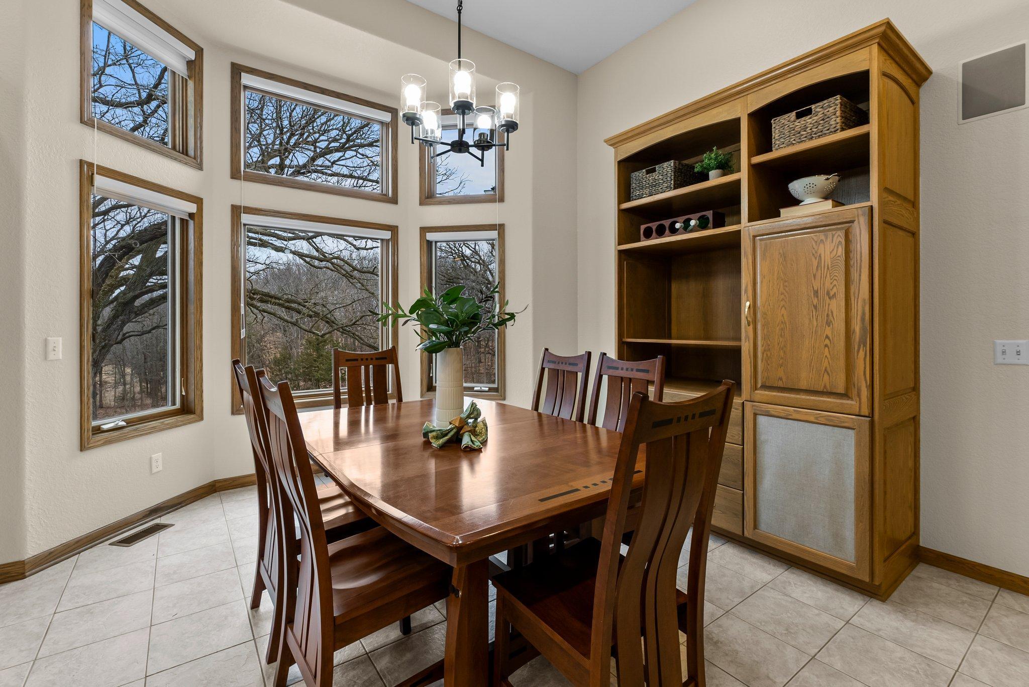 10610 Poppitz Lane, Chaska, Minnesota image 23