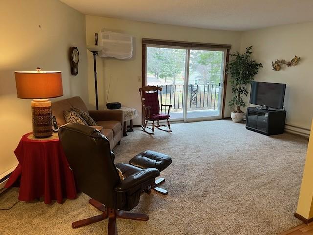 1150 Dellwood Street #303, Cambridge, Minnesota image 6