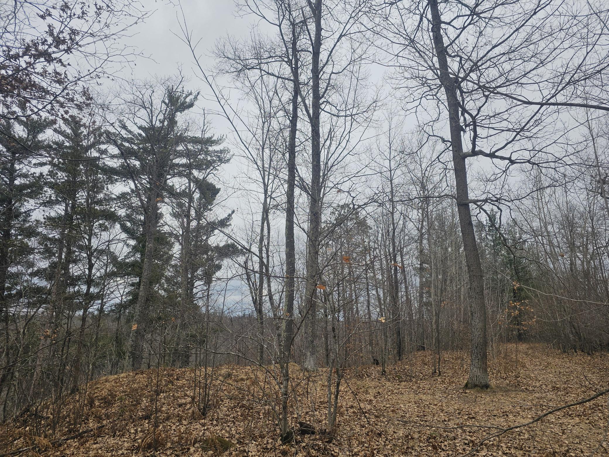 Lot 6 Kelly Lane, Danbury, Wisconsin image 4