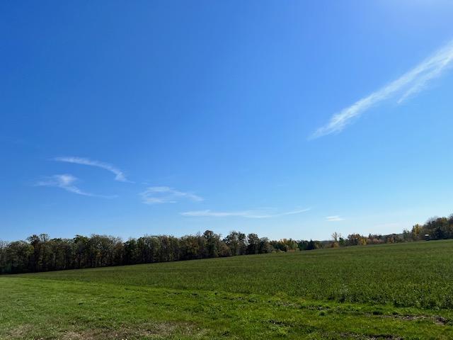 XXX 610th Avenue, Bluffton, Minnesota image 14