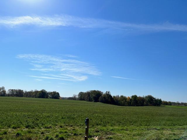 XXX 610th Avenue, Bluffton, Minnesota image 15