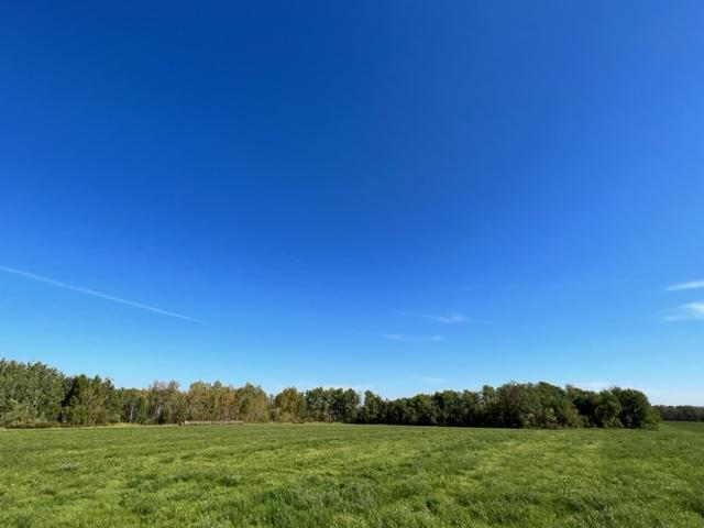 XXX 610th Avenue, Bluffton, Minnesota image 16