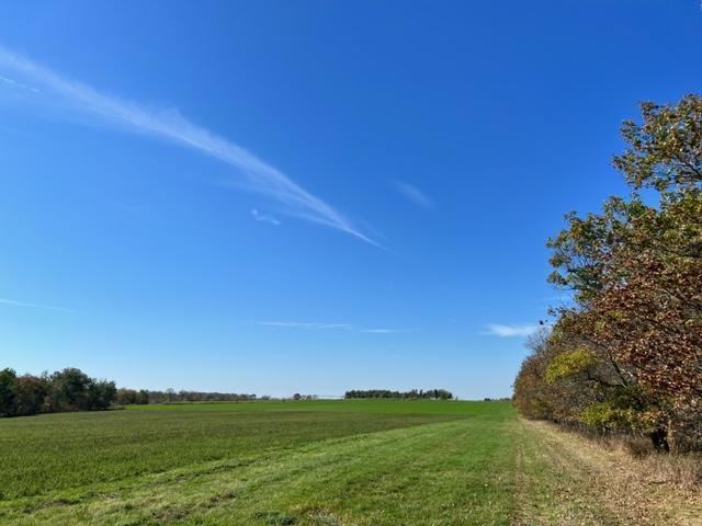 XXX 610th Avenue, Bluffton, Minnesota image 18