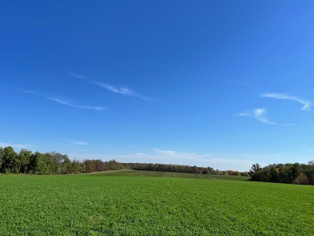 XXX 610th Avenue, Bluffton, Minnesota image 13