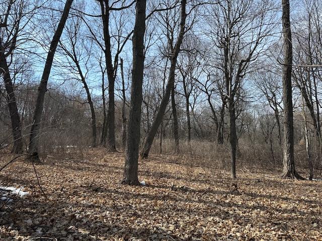 TBD Ottertail Point Drive, Cass Lake, Minnesota image 19