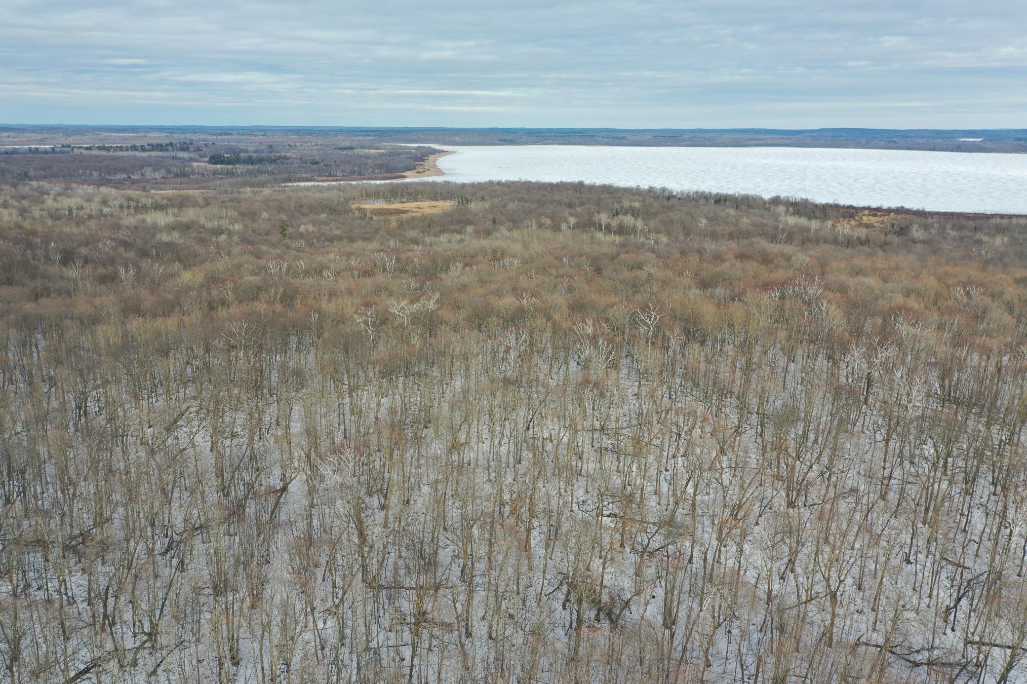 TBD Knopf Road, Rochert, Minnesota image 4